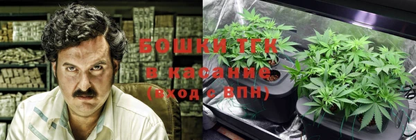 ПСИЛОЦИБИНОВЫЕ ГРИБЫ Белокуриха