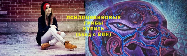 ПСИЛОЦИБИНОВЫЕ ГРИБЫ Белокуриха