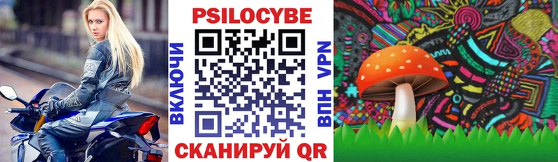 гидра   Свободный  Псилоцибиновые грибы Psilocybine cubensis 